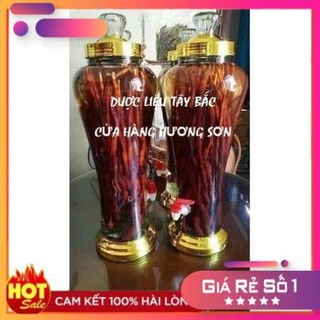 Nấm linh chi sừng hươu đỏ - dược liệu rừng tây bắc
