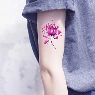 Combo 5 hình xăm dán Hoa Bỉ Ngạn Hoa Sen