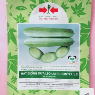Hạt giống dưa leo hunter 1.0 gói 300 hạt
