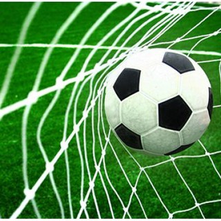 Lưới gôn bóng đá sân to 11 người