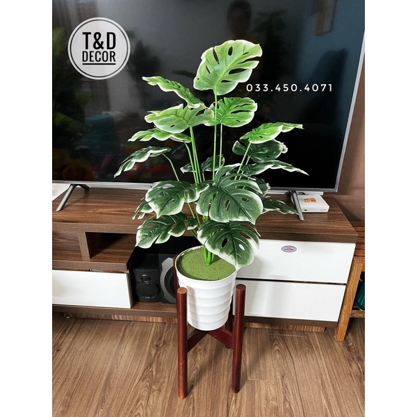 Cây giả decor- Mẫu cây giả cao 70cm trang trí phòng siêu đẹp