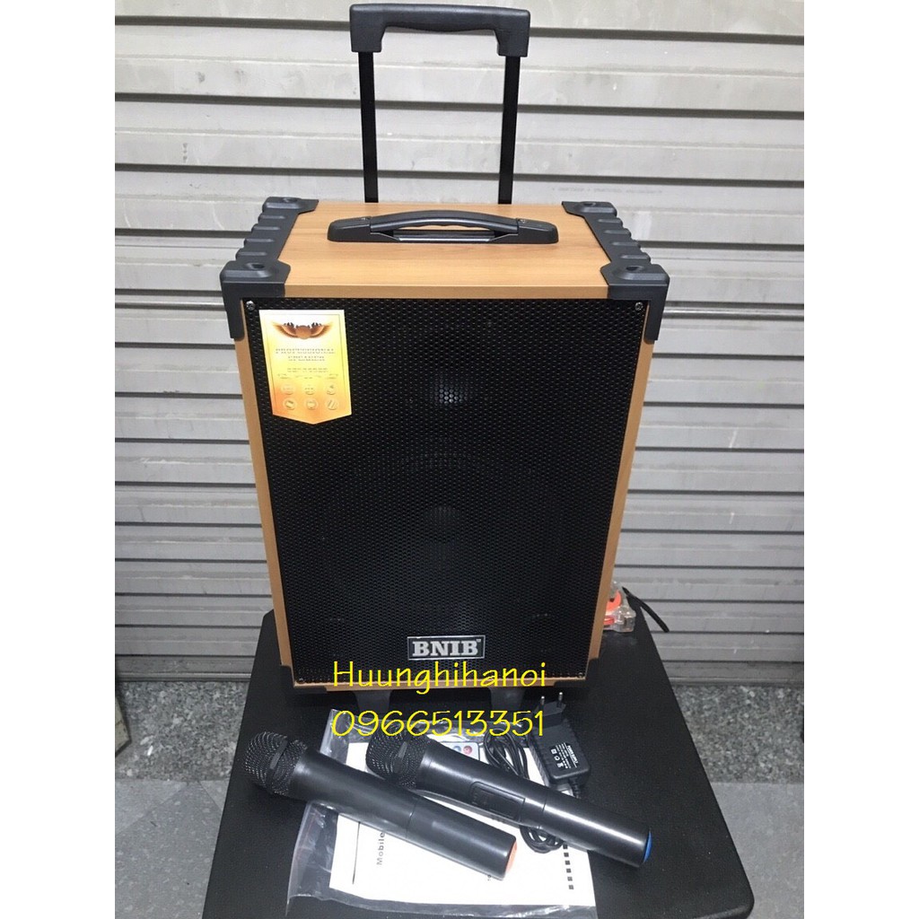 Loa karaoke hát hay giá rẻ BNIB T8 thùng gỗ bass 2 tấc tặng kèm 2 mic không dây hát karaoke, nghe nhạc cực hay