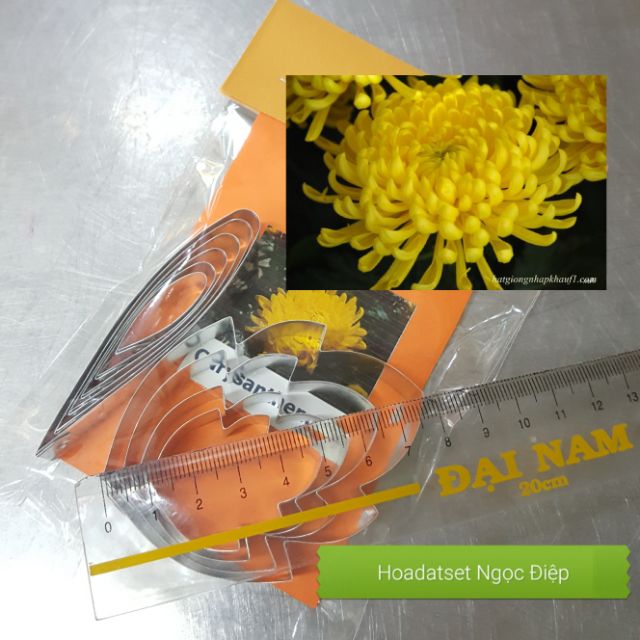 Khuôn cắt hoa cúc đại đóa