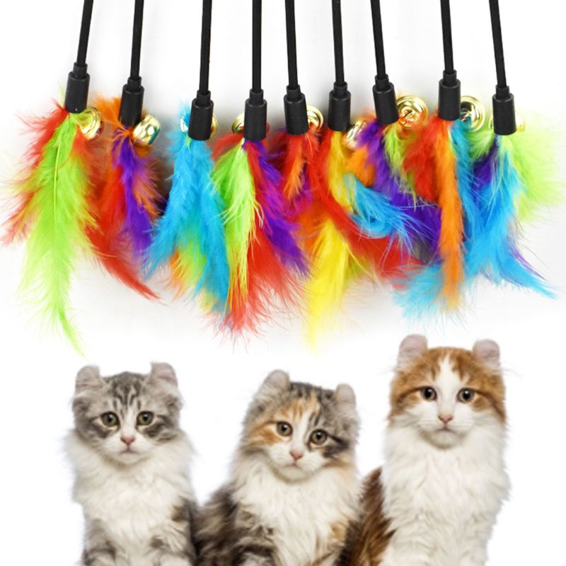 Gậy đồ chơi gắn lông vũ nhiều màu sắc dành cho mèo