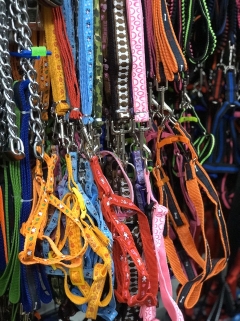 Dây dẫn Yếm cho Thú cưng