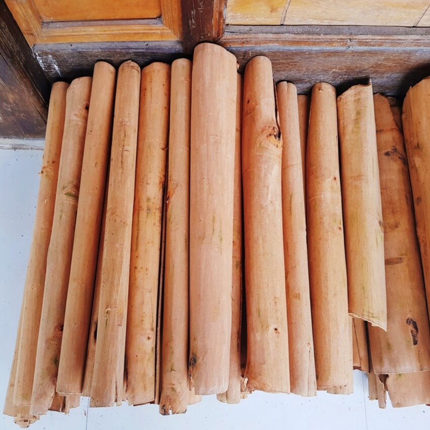 Thanh Quế, Ống Quế Khô 50cm (Đã Cạo Sạch Vỏ), Vỏ Quế Khô Trang Trí (Decor), Pha Trà, 100g- 500g | BigBuy360 - bigbuy360.vn