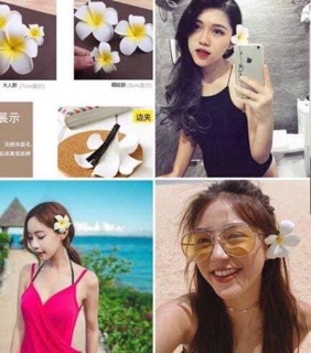 COMBO 600 HOA ĐẠI CÀI TÓC