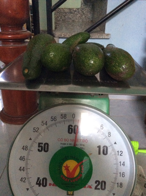 1kg Bơ 034 - cơm vàng vỏ mỏng hạt lép | BigBuy360 - bigbuy360.vn