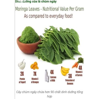 Bột chùm ngây sấy lạnh Moris