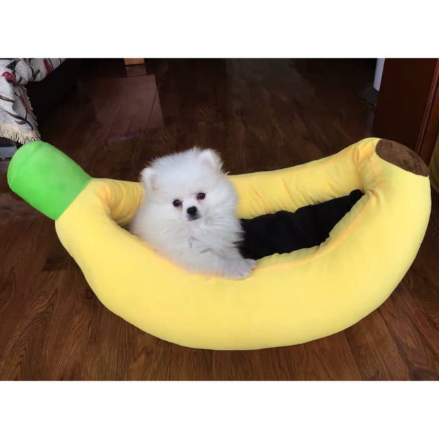 🍌[ORDER + KÈM ẢNH THẬT CÁC SIZE] Nệm ngủ hình chuối cho Pet cưng🐶🐰🐹