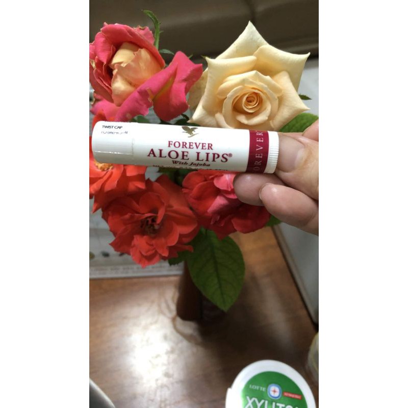 💄 SON DƯỠNG CAO CẤP LÔ HỘI ALOE LIPS 💄 | BigBuy360 - bigbuy360.vn