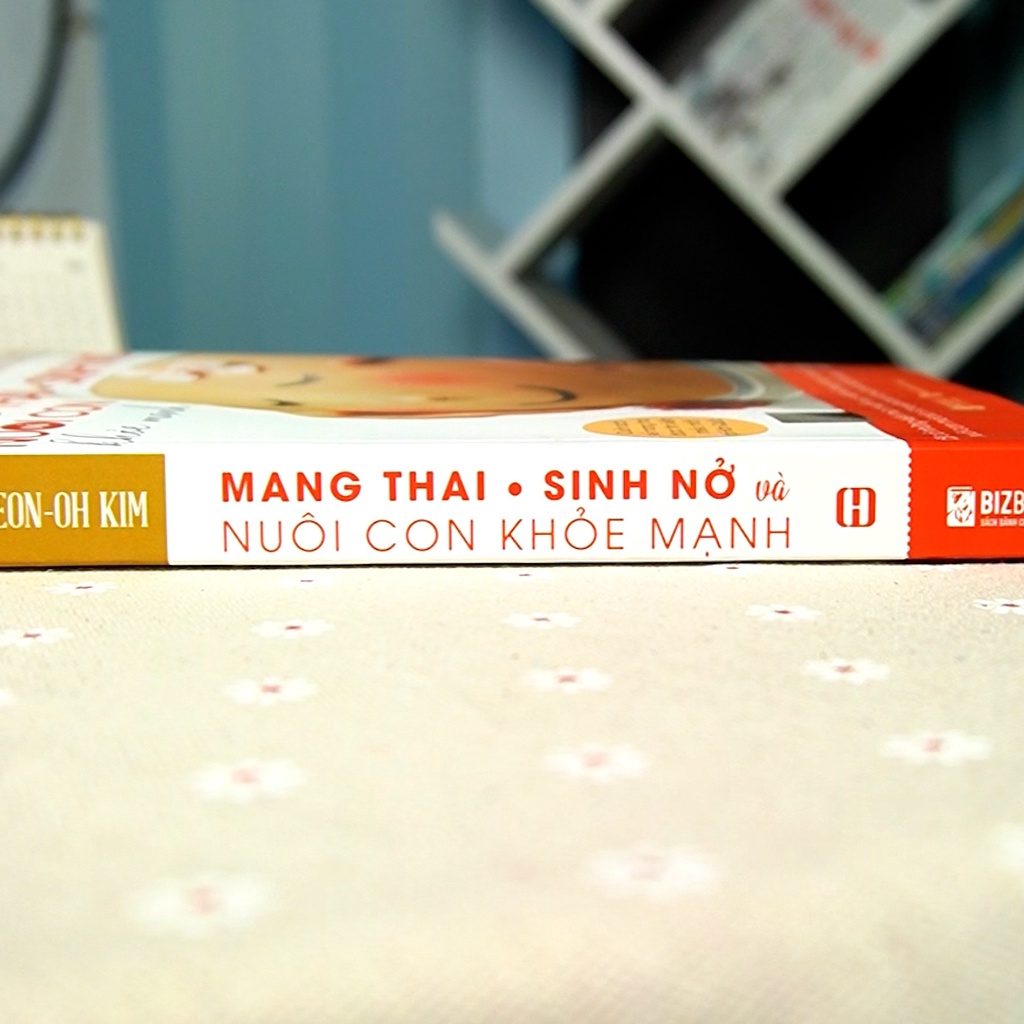 Sách Mang Thai Sinh Nở Nuôi Con Khỏe Mạnh