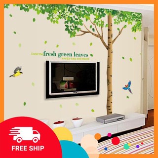 ⚡️𝗙𝗥𝗘𝗘𝗦𝗛𝗜𝗣⚡️ decal dán tường cây sồi cổ đại