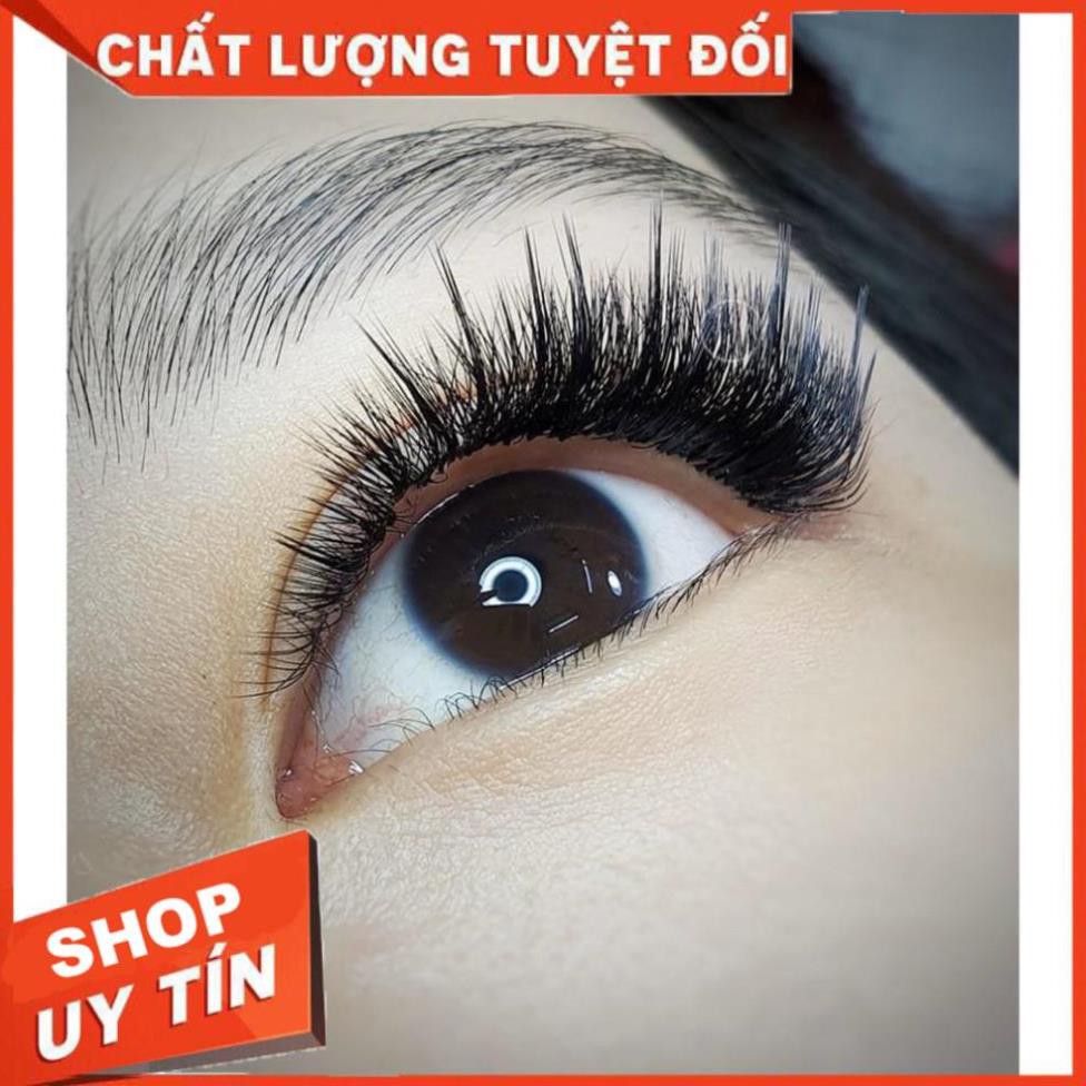 Mi chồn D Pa lashes  16 line