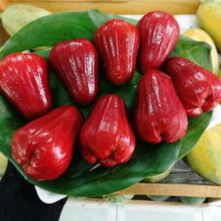 Mận an phước