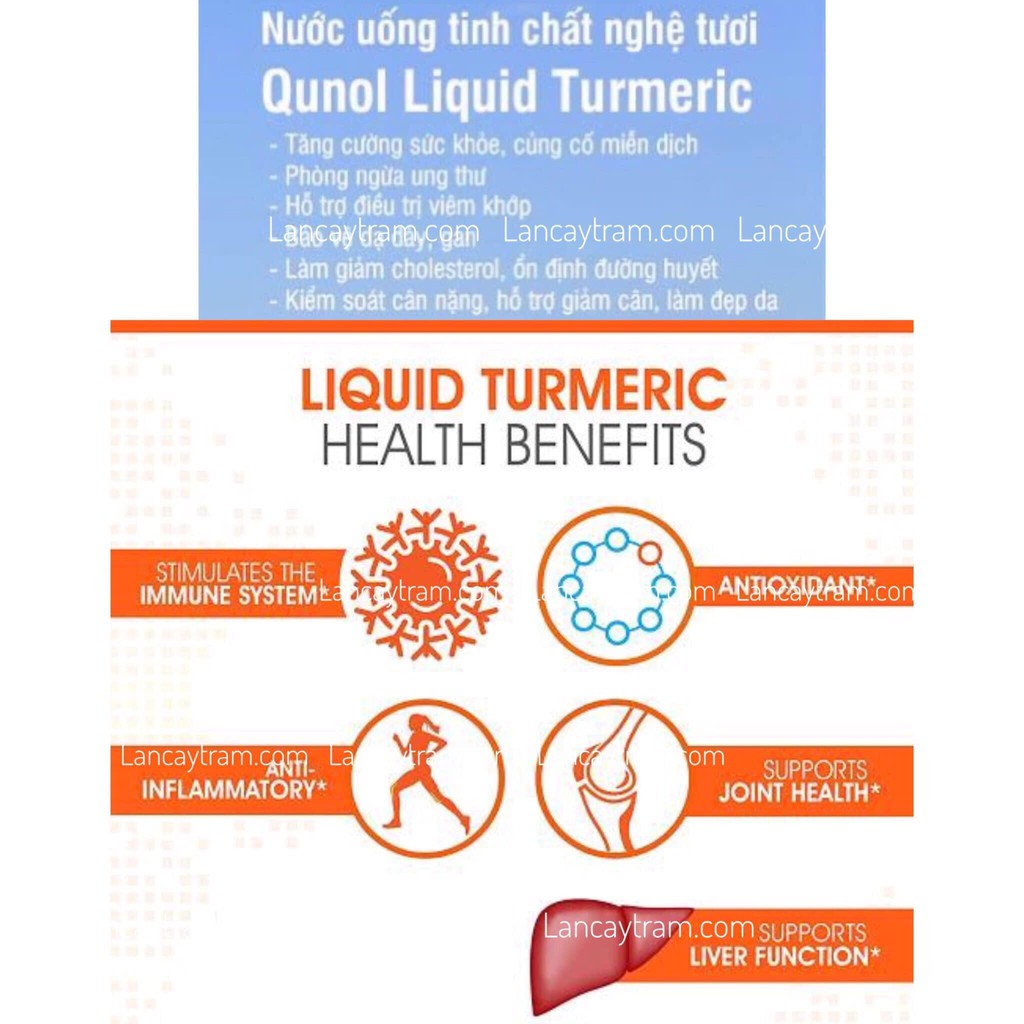 Nước Tinh Chất Nghệ Tươi Qunol Liquid Turmeric 1000mg 900ml ~ 2 Tháng