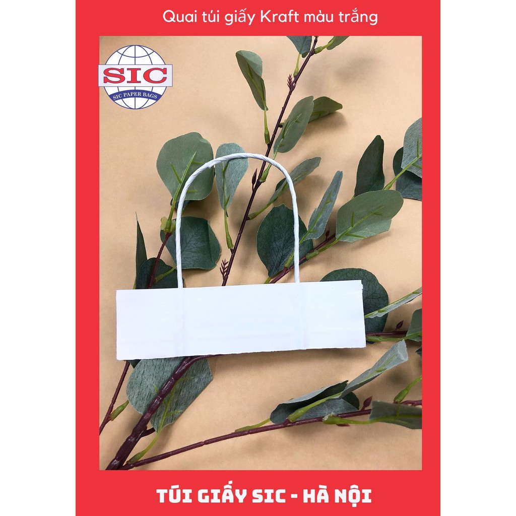 QUAI TÚI GIẤY KRAFT MÀU TRẮNG