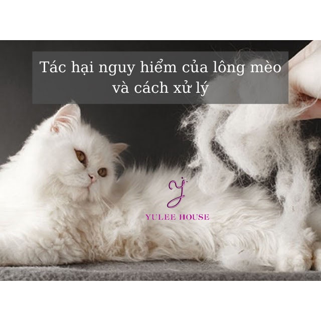 MÁY HÚT LÔNG CHÓ MÈO CẦM TAY KHÔNG DÂY HELLO LEIBO - THIẾT BỊ HÚT BỤI GIA ĐÌNH, XE HƠI CAO CẤP