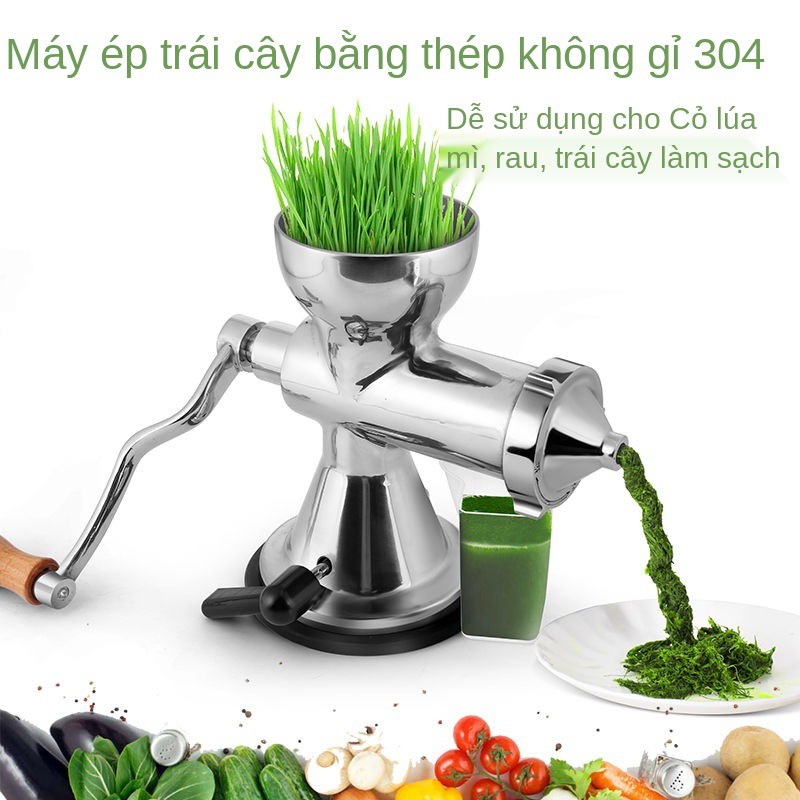 Máy ép trái cây lúa mì bằng thép không gỉ, và rau tay, giống mì, nước gừng, lựu, cầm tay