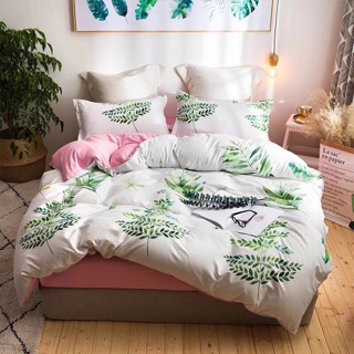 Bộ chăn ga cotton