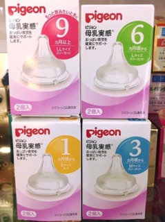 Núm Pigeon nội địa Nhật đủ size