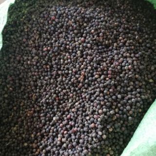 Hạt tiêu sạch Đăk Lăk 500g