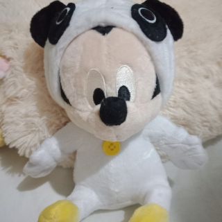 Gau bong cua Rosa rose