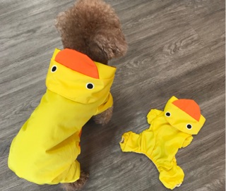 Áo mưa chó mèo