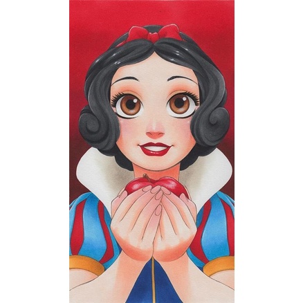 Bộ tranh đính đá 5D DIY hình công chúa Disney 30x40