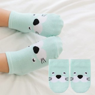Combo 6 tất chân/6 mẫu tự chọn