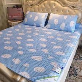 CHIẾU ĐIỀU HÒA TENCEL 1M8 X 2M