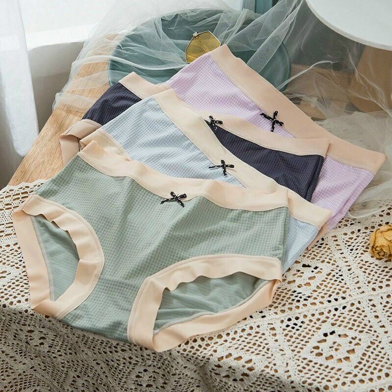 sét 5 quần lót cạp cao 2213