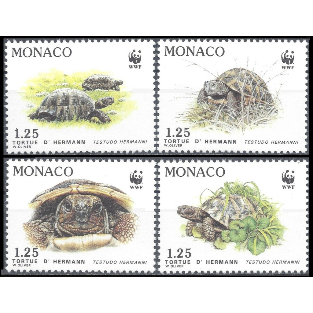 Tem sưu tập Tem Monaco Rùa 1991 ( 4 tem )
