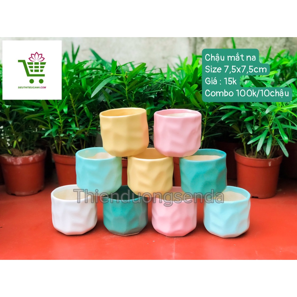 10 CHẬU SỨ HỎA BIẾN CAO CẤP TRỒNG SEN ĐÁ, XƯƠNG RỒNG, DECOR