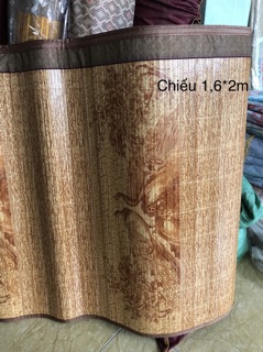 Chiếu trúc nằm 1 mặt gập đôi