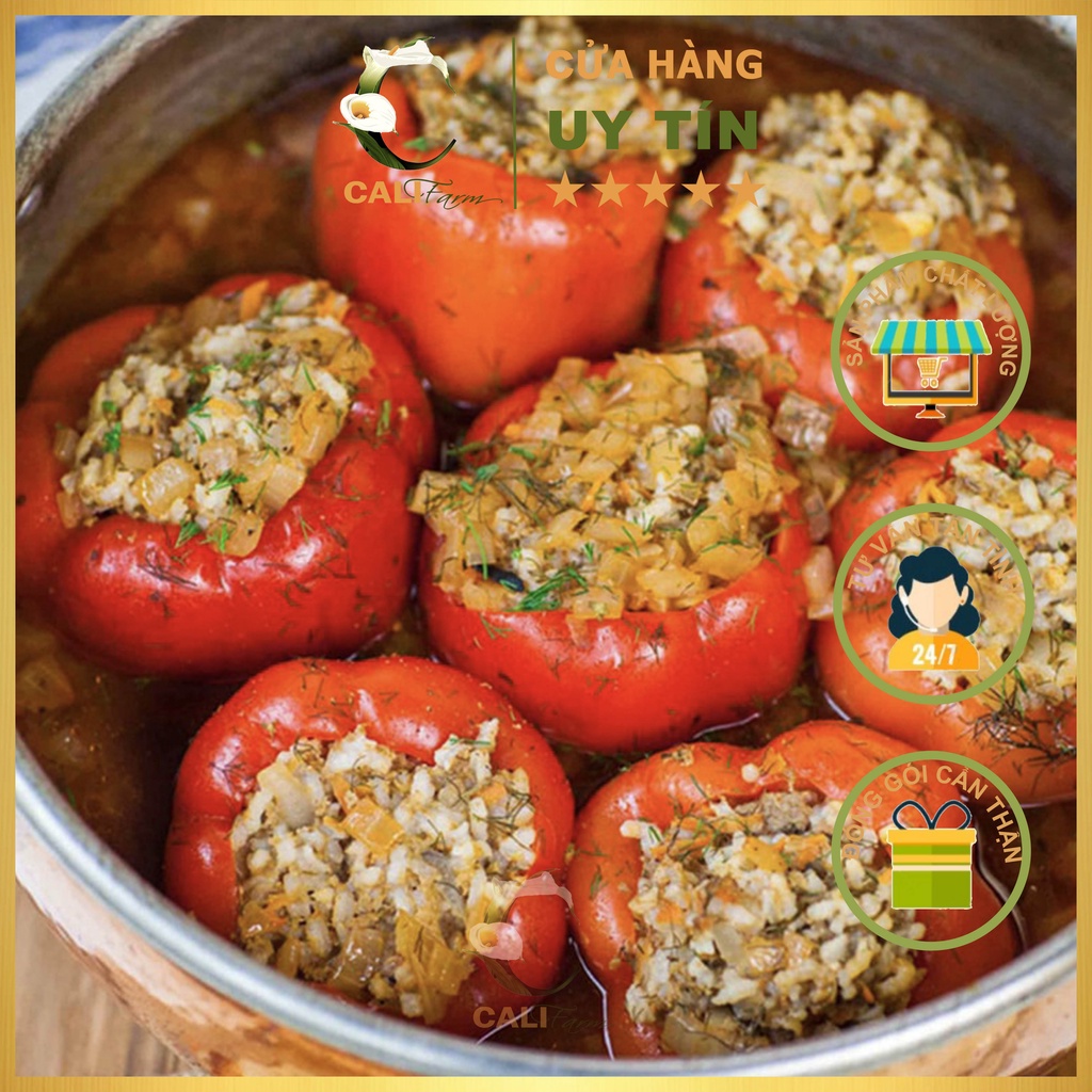Hạt Giống Ớt Chuông Rado 352