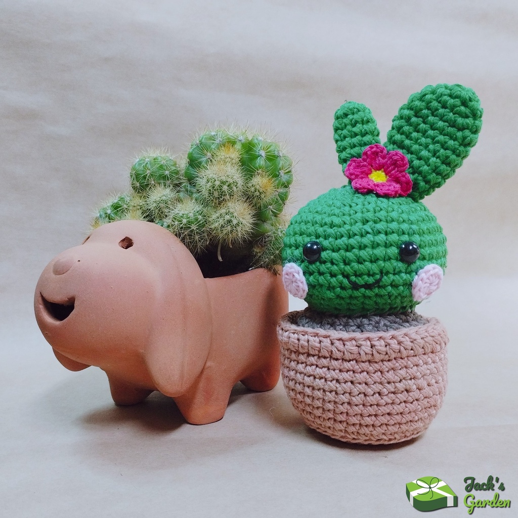 Chậu xương rồng trang trí bàn bằng len handmade