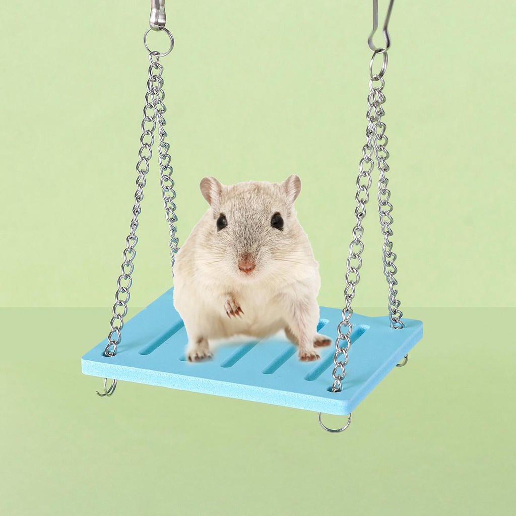 Bộ Đồ Chơi Cầu Gỗ Tập Thể Dục Cho Chuột Hamster