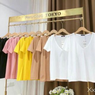 Áo phông giấy HM