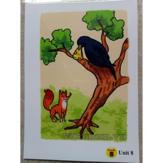 Combo flashcard lớp 3,4,5 in một mặt