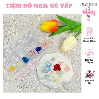 Hoa Khô Trang Trí Móng 12 Màu