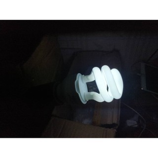 Đèn UVB 10.0 và UVB 5.0 dành cho bò sát