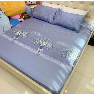 Bộ Ga Gối Poly Cotton hoa baby loại đẹp bo chun đủ kích thước + vỏ gối ôm, chất mềm, không phai, không xù lông.