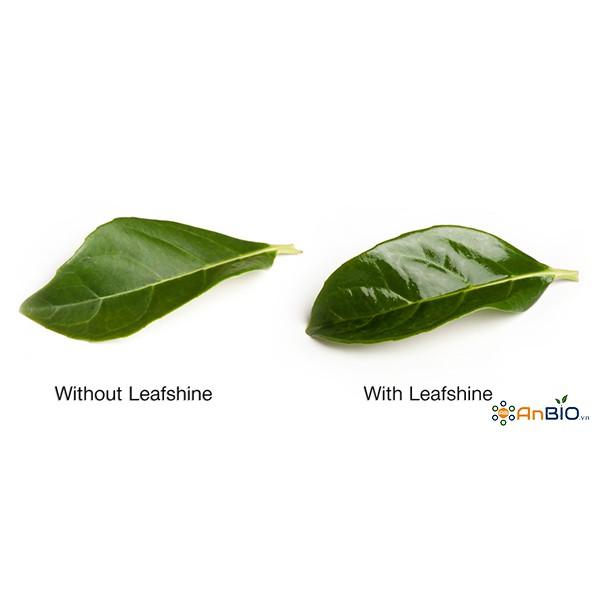 Bình Xịt Bóng Lá LeafShine 750ml cho CÂY KIỂNG - A3.1021