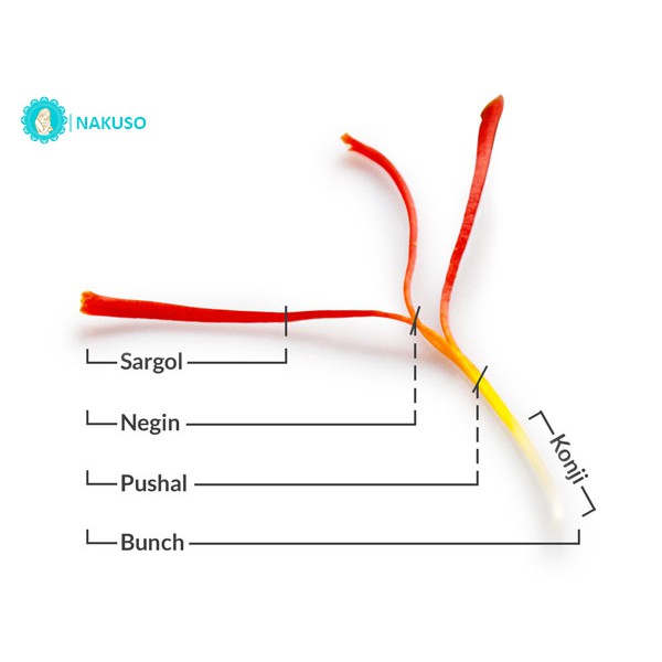 [Mã GROSALE55 giảm 8% đơn 500K] Saffron Bahraman I Nhụy Hoa Nghệ Tây Chuẩn Loại 1 (Super negin) I Ngủ ngon I Đẹp Da