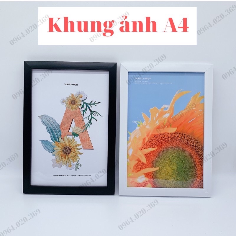 Khung ảnh A4 (21x30) fr đơn từ 50k