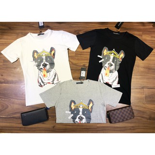 Áo phông nam DSQ chó