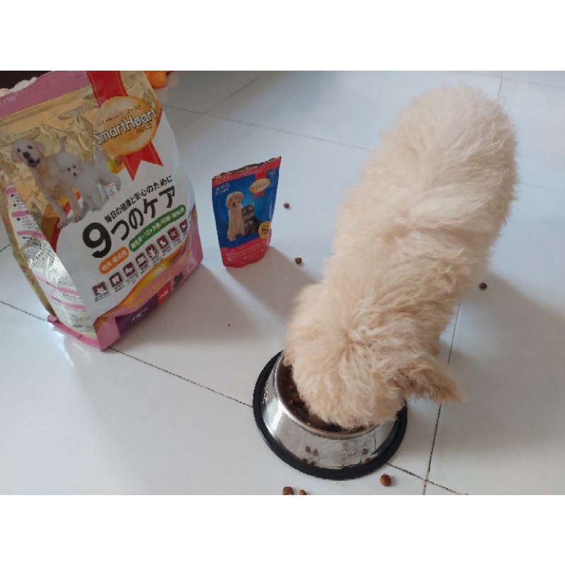 Thức Ăn Hạt Khô Cho Chó Con Smartheart Gold Puppy Túi Hãng 1kg Vị Thịt Cừu Bổ Sung Dầu Cá - Bobo Pet Shop Hà Nội