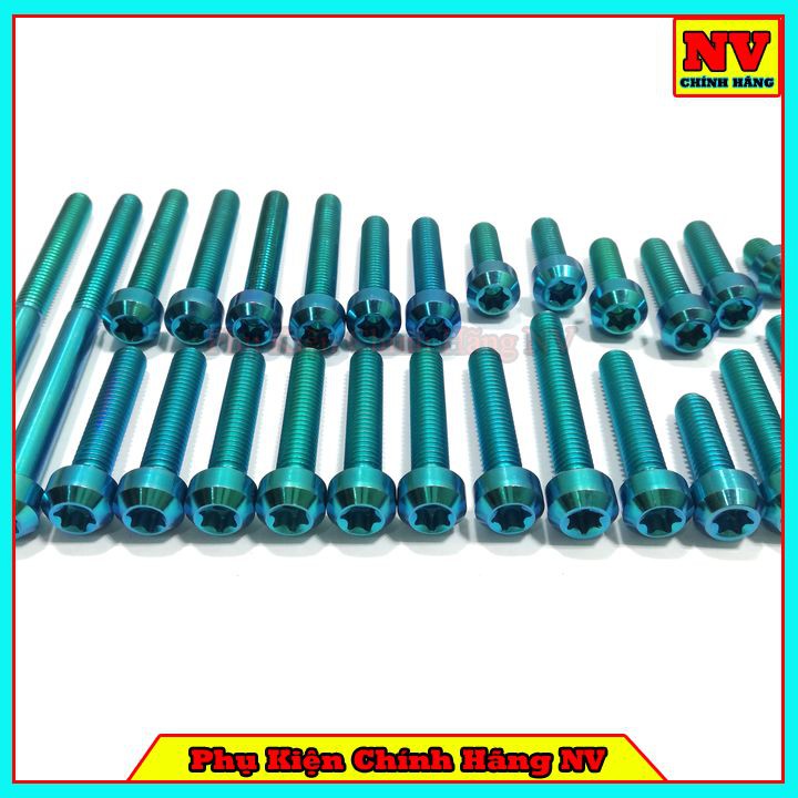 Bộ Ốc Lốc Máy Raider Fi Gr5 Full Bộ 28 Con