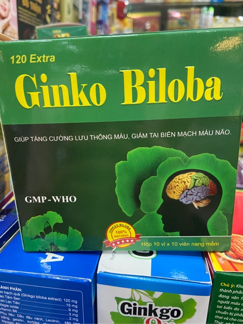 Viên Ginko Biloba bổ não 120mg (hộp 100 viên)